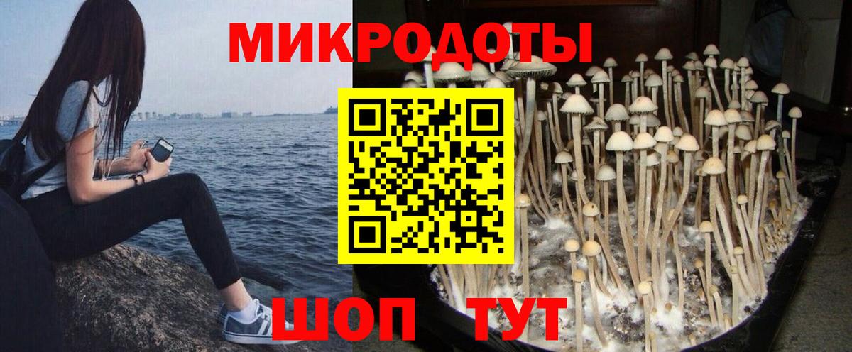Галлюциногенные грибы Cubensis Елизово