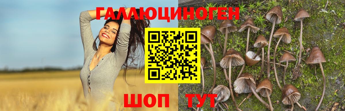 Галлюциногенные грибы мицелий  Вход с VPN  Елизово 